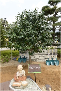 식목일 기념식수 진행 5번째