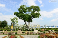 부산시민공원 물놀이장 개장식 참석 1번째